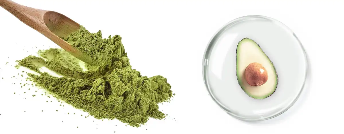 Avocado Sale.jpg